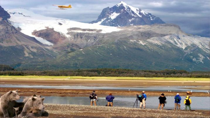 bear viewing Alaska, bear photography, bear safety, bear behavior