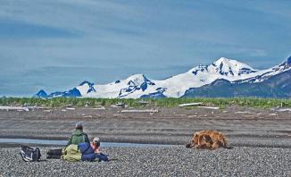 wolf, wolves,predators, predator management, population viability,  predator control, bear safety, bears, grizzly, black bears, bear viewing, bear behavior, Sarah Palin, predator control, slaughter, extermination, books, videos, conservation, stewardship, aerial hunting, aerial shooting, holocaust, adventure, Alaska, Board of Game, consulting, impacts